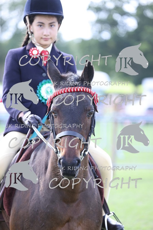 APP_3293 - Class 11 Veterans ridden