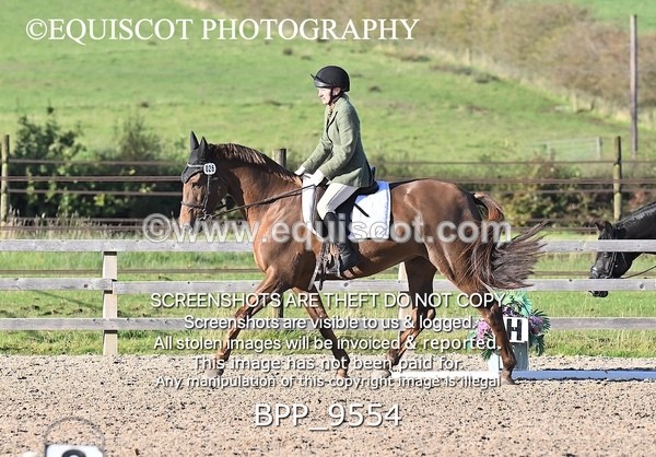 BPP_9554 - SHORT ARENA
