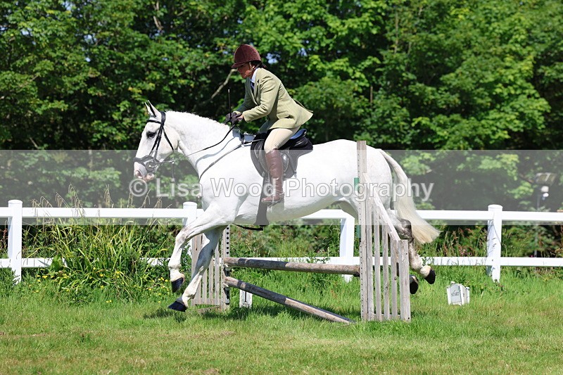 3E7A6898 - Class 30: Novice Working Hunter