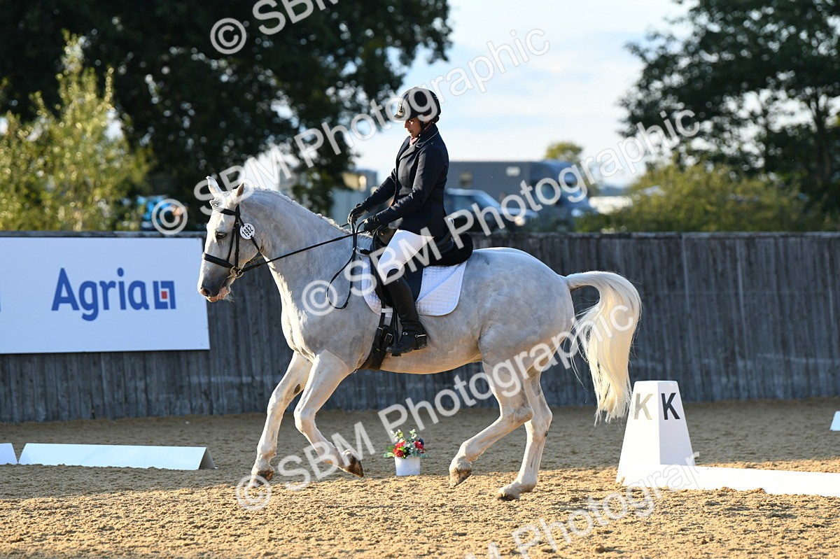 SBM_30900 - D16 - Small Tour Championship - Novice 28