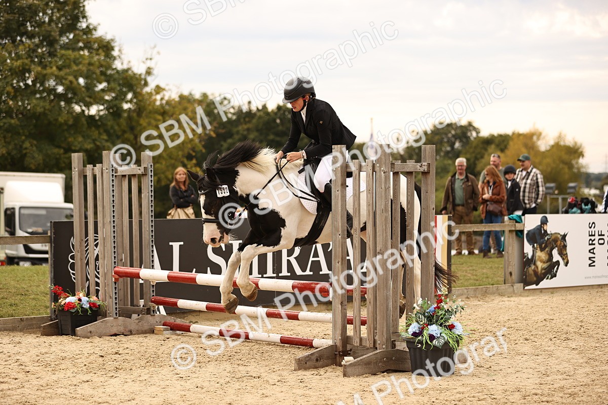 SBM_74446 - J14 - Junior Pony 65cm Championship
