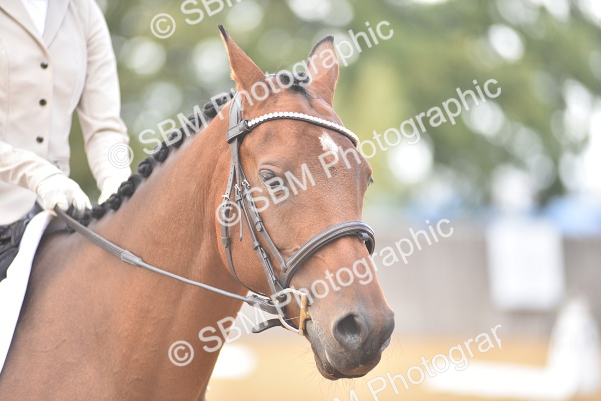 SBM_22297 - D13 - Grand Tour Championship Prelim 3