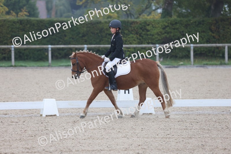 20251012-0077 - Class 1 - Prelim 5