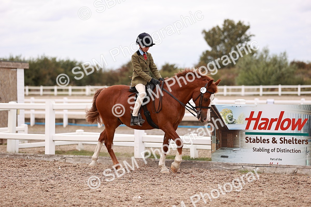 SBM_18549 - Class 421 - Childs Best Friend - Jnr