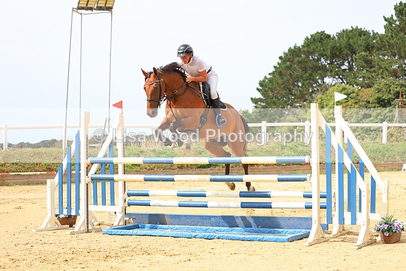 3E7A4270 - Class 8: Senior Foxhunter/1.20 open