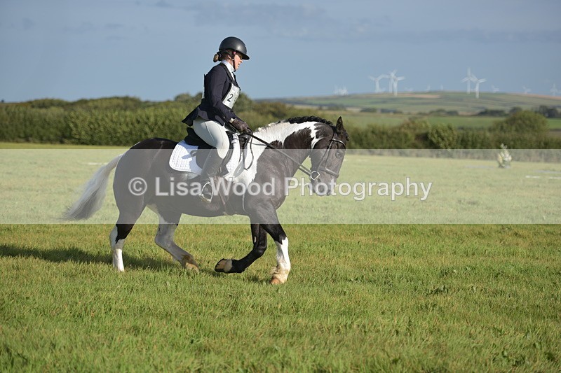 RAY_7329 - Class 2B: Trekenning Open: Dressage
