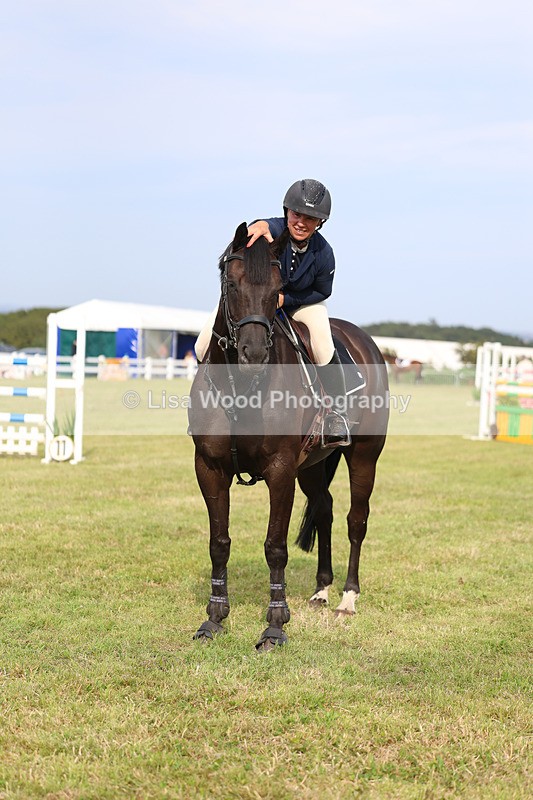 3E7A0900 - Class C: Showjumping Senior Foxhunter