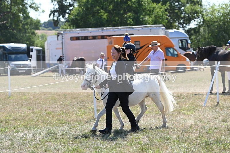 WJ6_7878 - Class 36 Lead Rein
