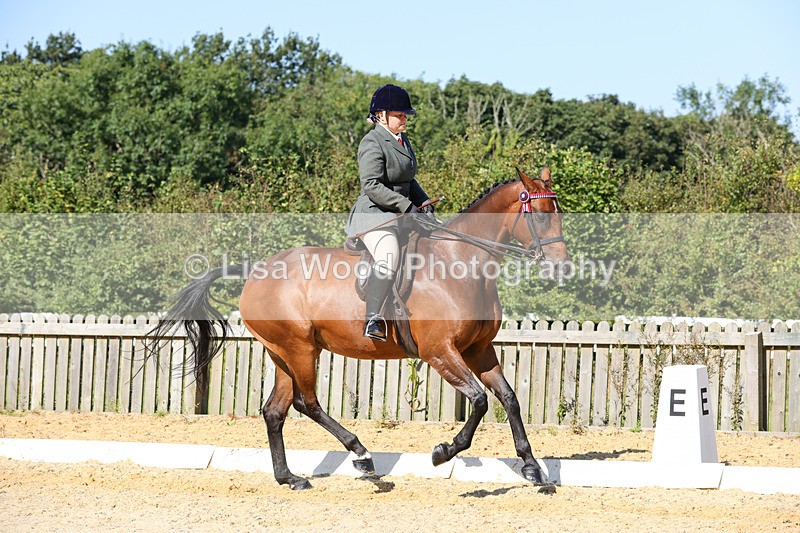 1X9A7891 - Class 10:Riding Horse