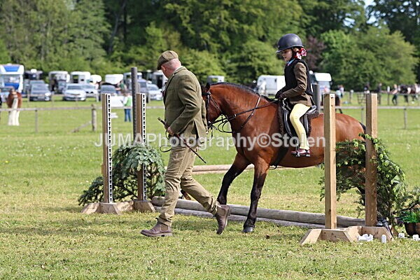 IMG_2170 - Working Hunter