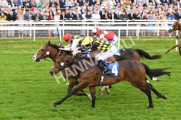 yr21052022r1-18 - Race 1: 1:40pm William Hill Play Responsibly Stakes
