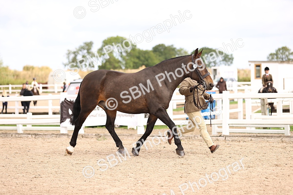 SBM_10359 - Class 405 - IH Show Cob