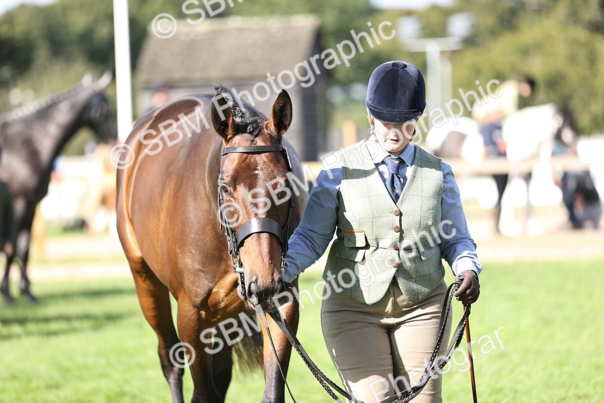 SBM_26258 - S5 - Novice & Newcomers In Hand