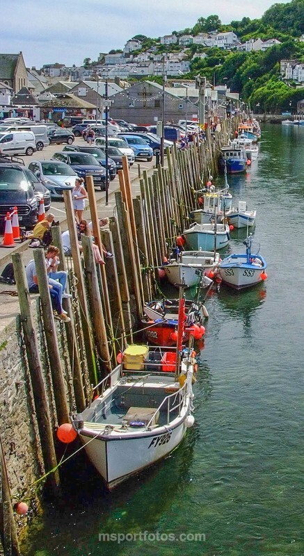Looe harbour - Travel, city/land scapes
