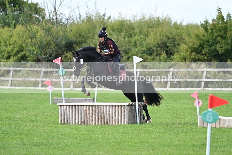 WJ7_8343 - 60cm Pairs