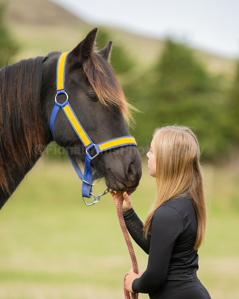 Dionne-277 - DGClydesdales