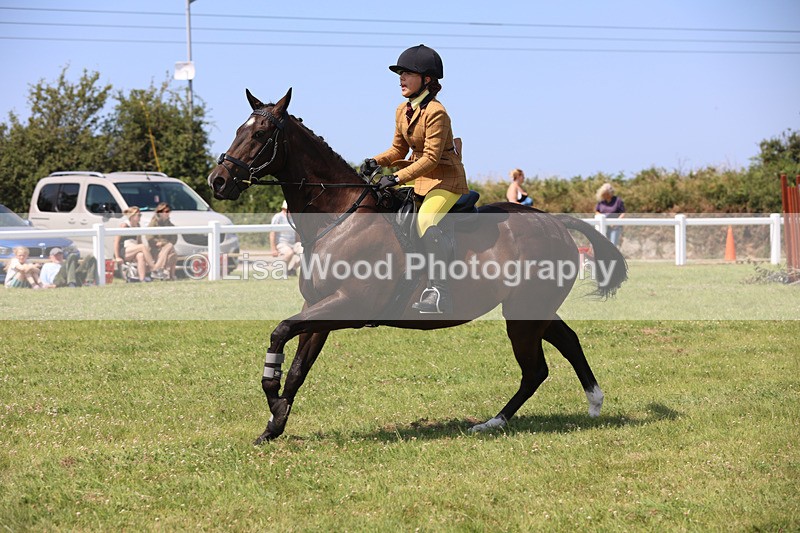 JPP_3055 - Class 22: Working Hunter 70cm