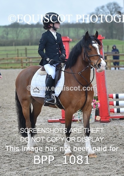 BPP_1081 - CLASS 1 Club/ Unaffiliated 60cms Open