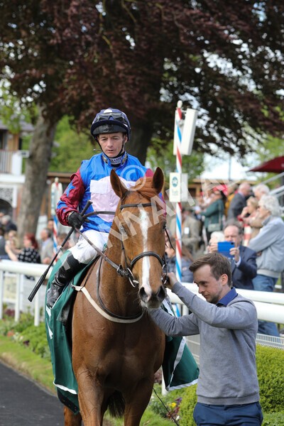 yr12052022r3-36 - Race 3 3.00pm The Paddy Power Hambleton Stakes