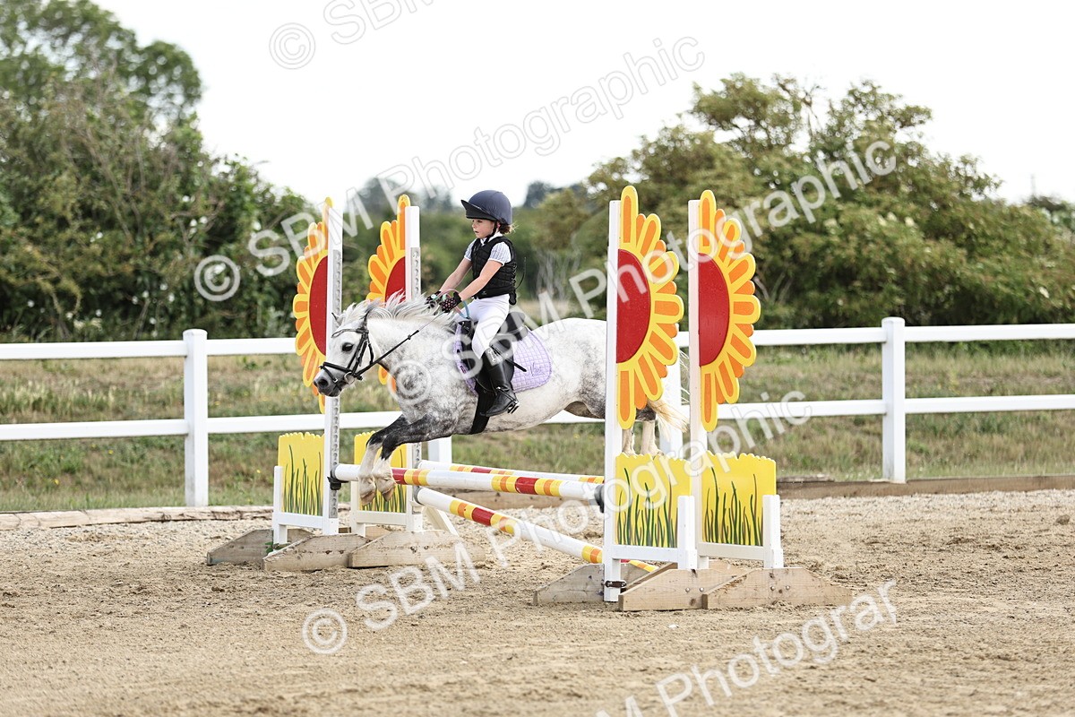 SBM_004060 - 60cm showjumping