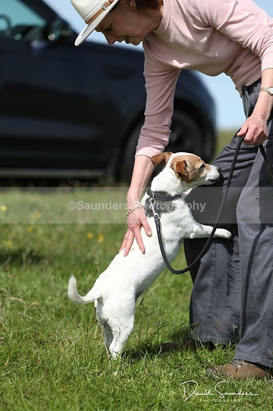 SPXX0541 - Dog show