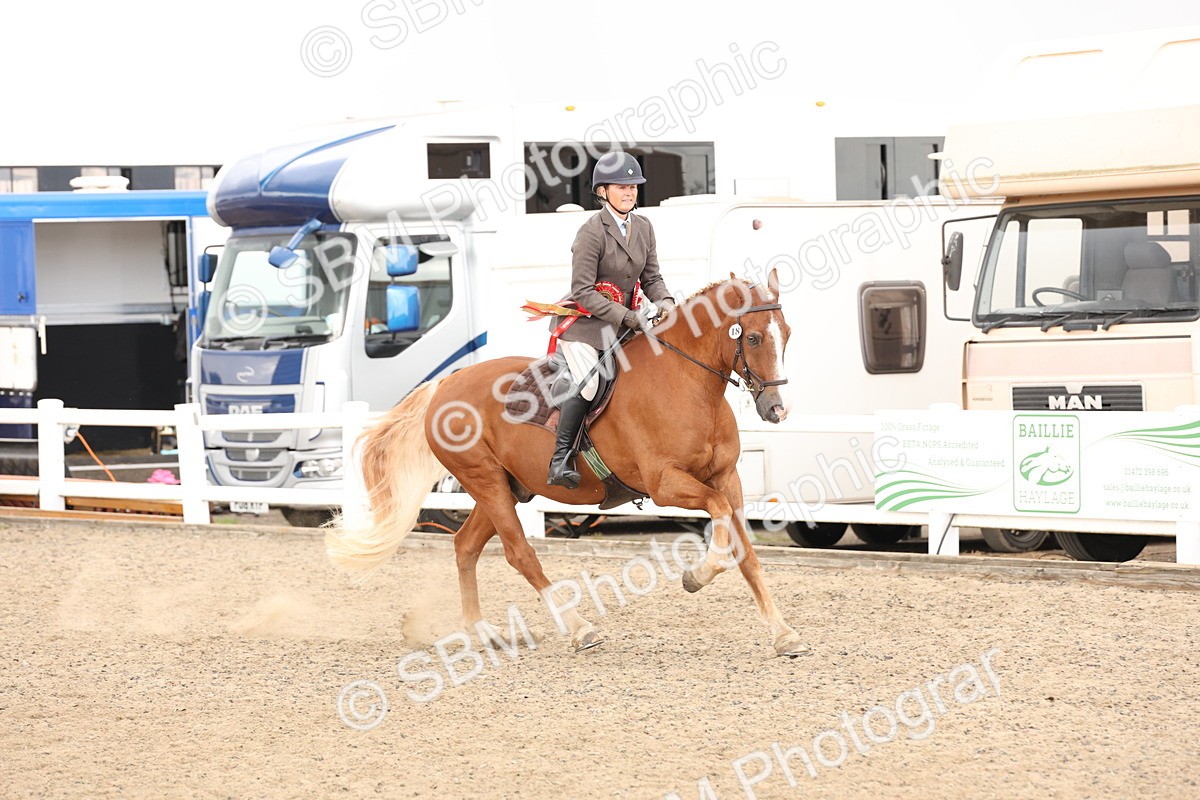 SBM_07521 - Class 59a -  Style & Performance - 80cm (15-19)