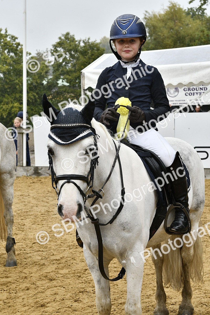 SBM_71009 - J3 - Mini Tour Junior Pony 40cm championship