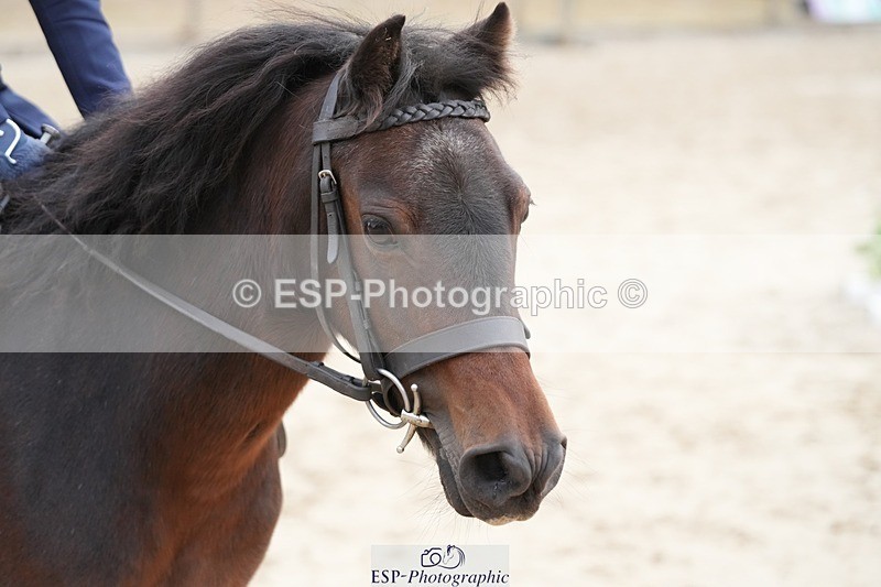 250820A-085749-01055 - Round 2, Start to 9.45 Break