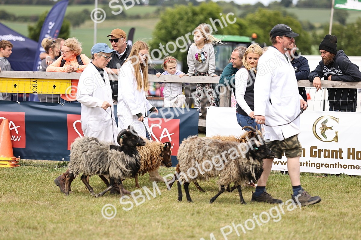 SBM_16854 - Grand Parade