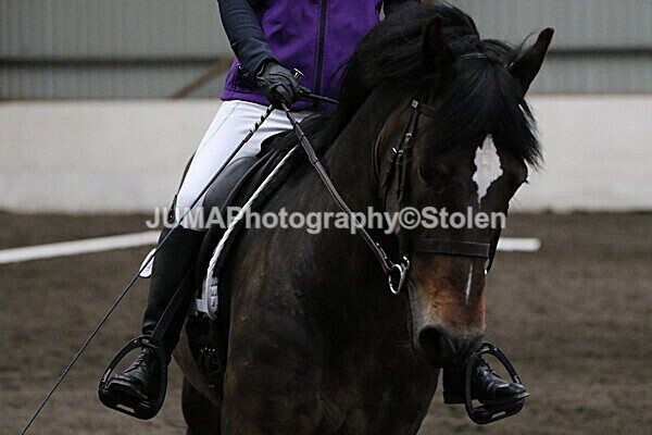 SIAL3751 - CAbin Dressage 5th july 2025