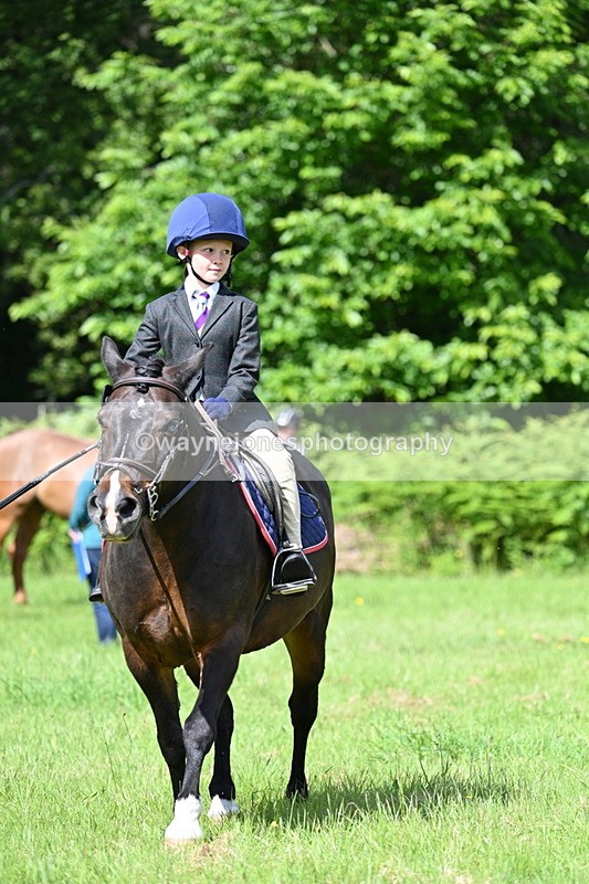 WJ7_1060 - Class 11 Condition & Turnout