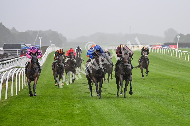 230725-Race 3-Emerald Army-0042 - Race 3