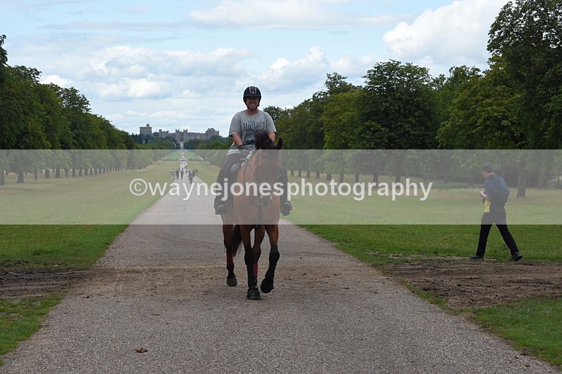 TT3_0465 - Time at Crossing 14:53 to 1526