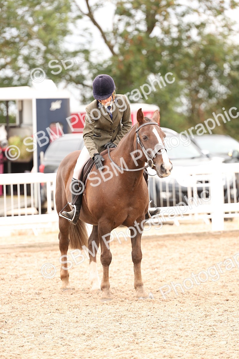 SBM_19584 - Class 215 - Ridden Show cob