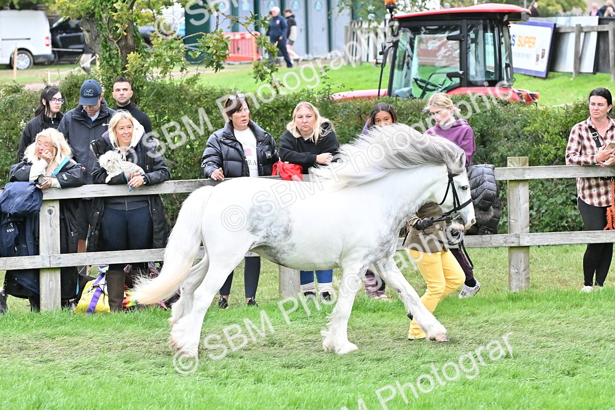 SBM_68565 - S42 - Junior Handler 9-12 Years