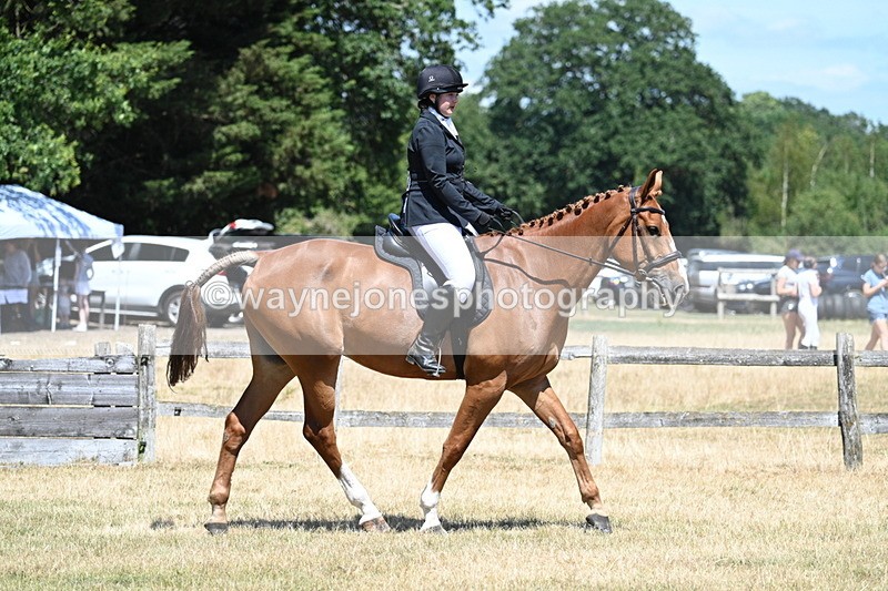 WJ7_2864 - Class 7 Riding Club Show Horse