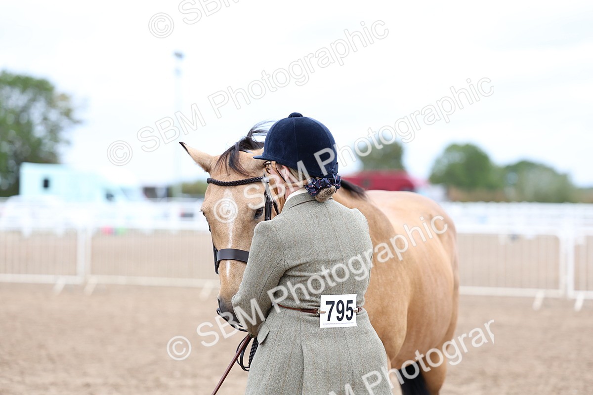 SBM_01471 - Class 17 - Prettiest Mare