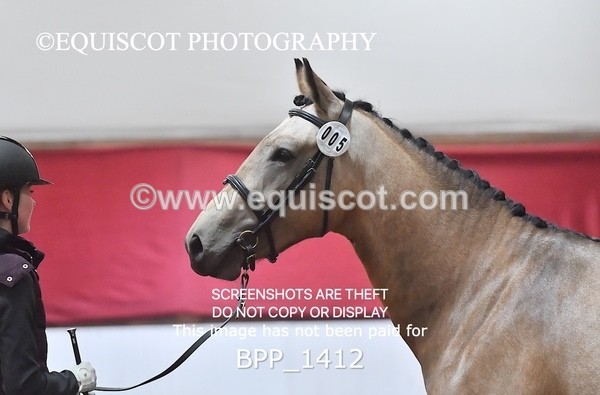 BPP_1412 - MORNING 9AM - 12PM