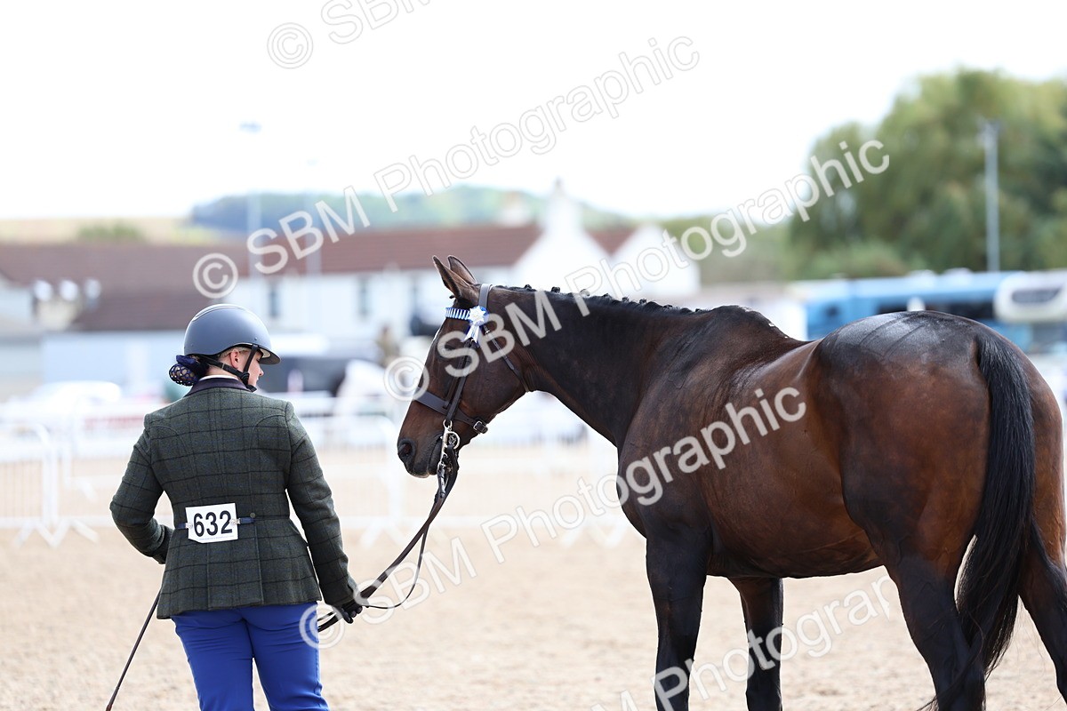 SBM_15288 - Class 313 - IH Retired Racehorse