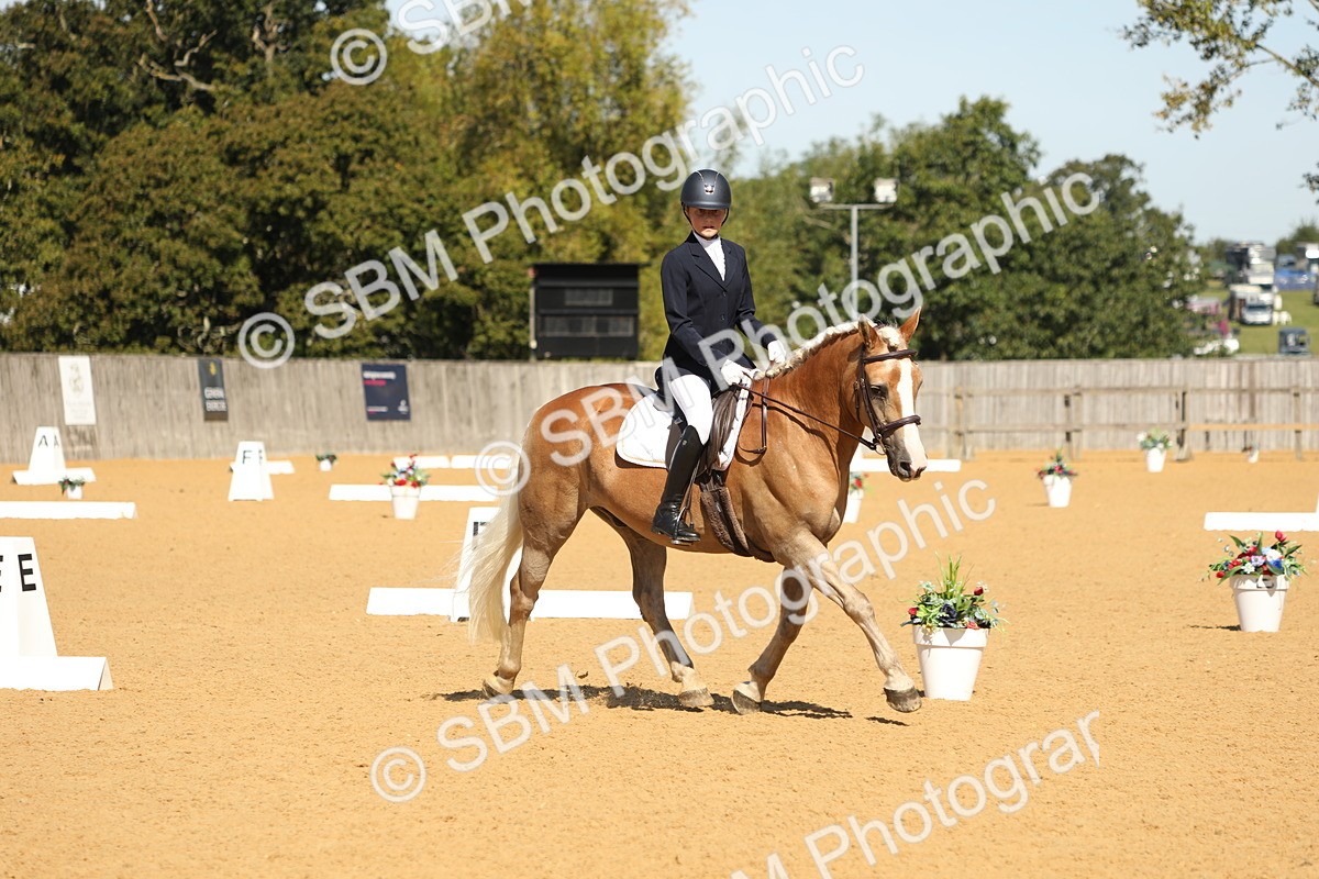 SBM_19743 - D10 - Small Tour Championship - Prelim 2