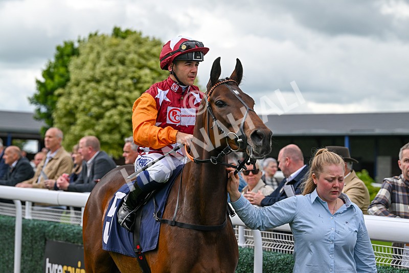 290524-Race 7-Lincoln Rockstar-7198