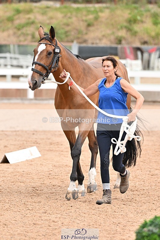 250716-144439-01353 - Trot Up 2.30 to 3.30