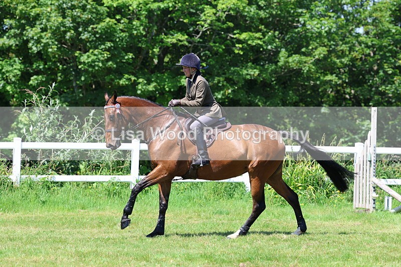 3E7A7467 - Class 31: Working Hunter Cob/Riding Horse