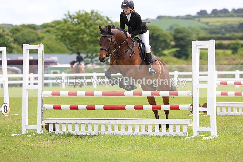 3E7A7253 - Class 13: Senior British Novice/90cm open