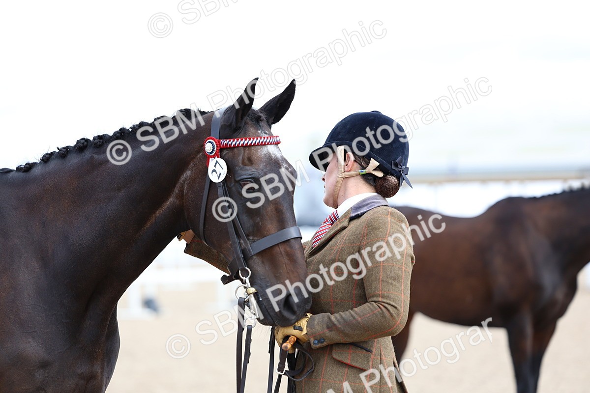 SBM_15292 - Class 313 - IH Retired Racehorse