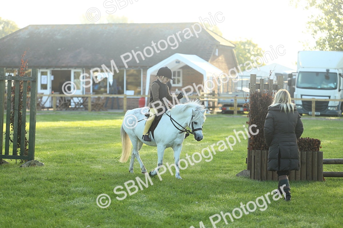 SBM_37210 - S29 - Novice & Newcomers Working Hunter Pony