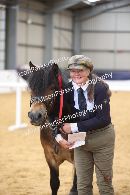 20260913-1768 - Class 117 - Stallion 4years and over