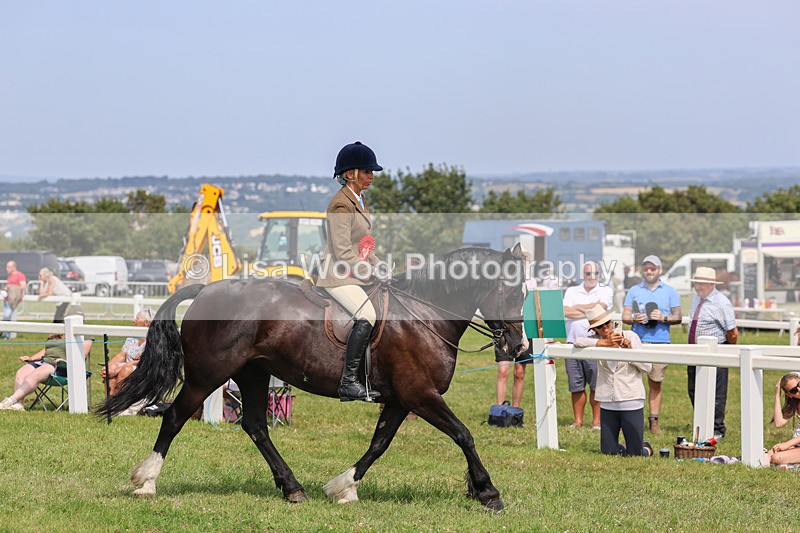 IMG_3716 - M & M Ridden Championship