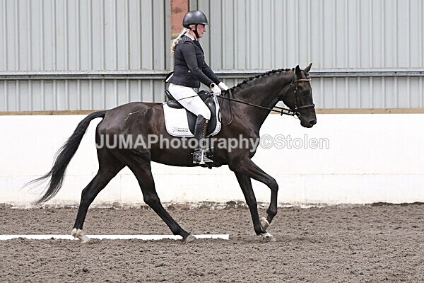 SIAL5343 - CAbin Dressage 5th july 2025