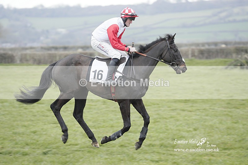 PtP 050323 786 - Blackmore & Sparkford Vale Hunt PtP - Somerset 05/03/23